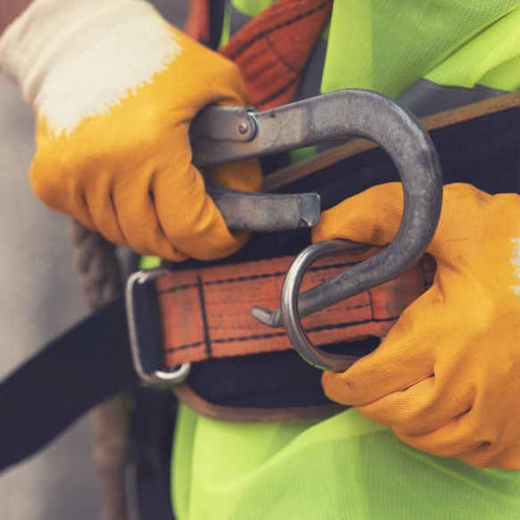 General Liability Excess and Surplus Lines General Liability